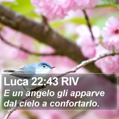 Luca 22:43 RIV Bible Verse Image