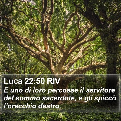 Luca 22:50 RIV Bible Verse Image