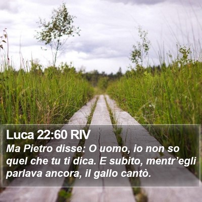 Luca 22:60 RIV Bible Verse Image