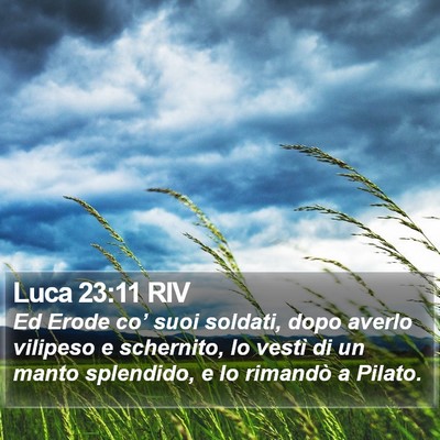 Luca 23:11 RIV Bible Verse Image