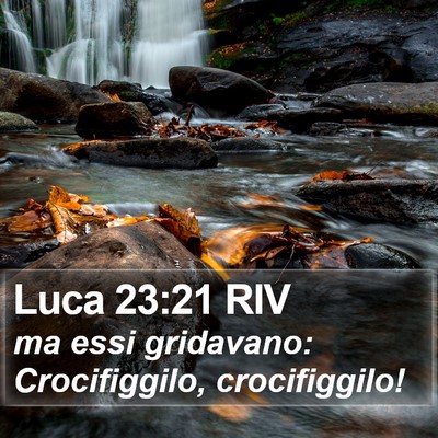 Luca 23:21 RIV Bible Verse Image