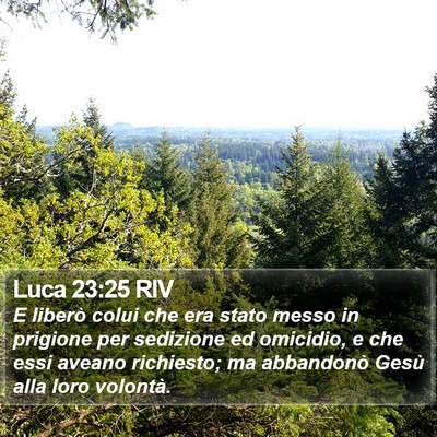 Luca 23:25 RIV Bible Verse Image