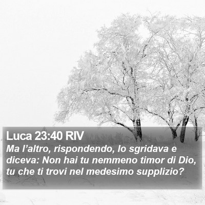 Luca 23:40 RIV Bible Verse Image