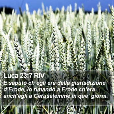 Luca 23:7 RIV Bible Verse Image
