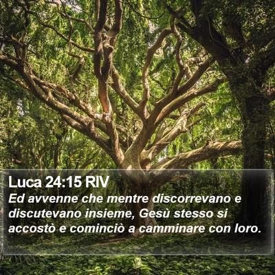 Luca 24:15 RIV Bible Verse Image