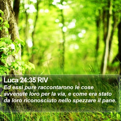 Luca 24:35 RIV Bible Verse Image