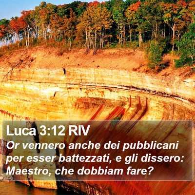 Luca 3:12 RIV Bible Verse Image