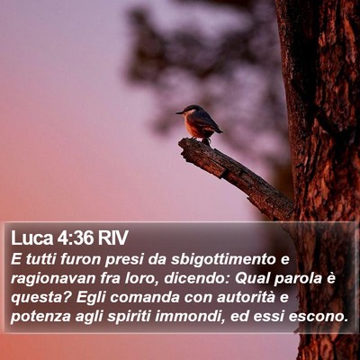 Luca 4:36 RIV Bible Verse Image