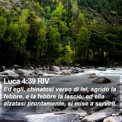 Luca 4:39 RIV Bible Verse Image