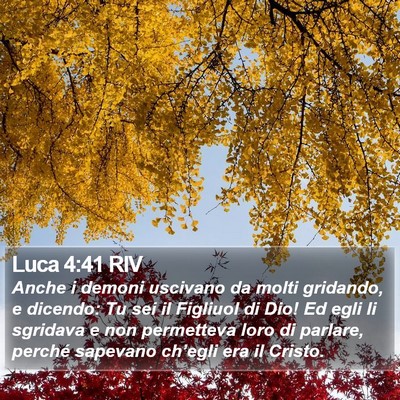 Luca 4:41 RIV Bible Verse Image