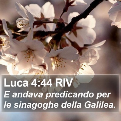 Luca 4:44 RIV Bible Verse Image