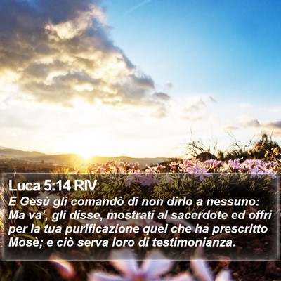Luca 5:14 RIV Bible Verse Image