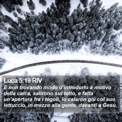 Luca 5:19 RIV Bible Verse Image
