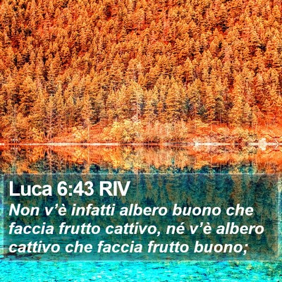 Luca 6:43 RIV Bible Verse Image