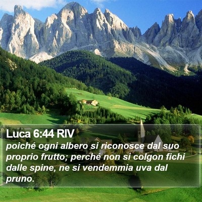 Luca 6:44 RIV Bible Verse Image