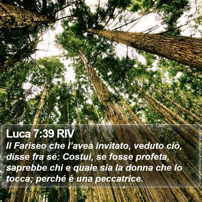 Luca 7:39 RIV Bible Verse Image