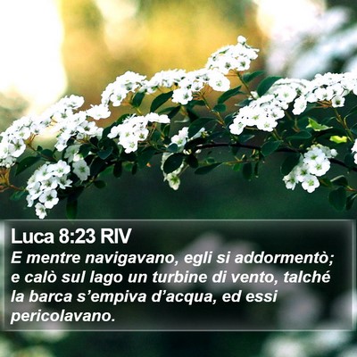 Luca 8:23 RIV Bible Verse Image