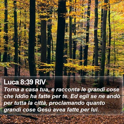 Luca 8:39 RIV Bible Verse Image