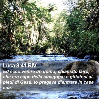 Luca 8:41 RIV Bible Verse Image