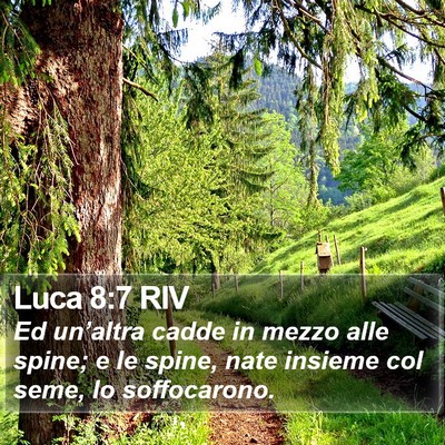 Luca 8:7 RIV Bible Verse Image