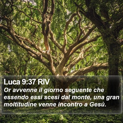 Luca 9:37 RIV Bible Verse Image