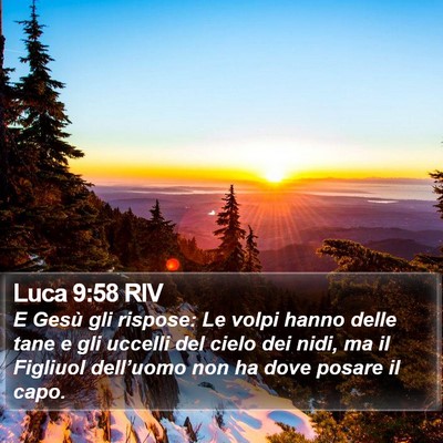 Luca 9:58 RIV Bible Verse Image