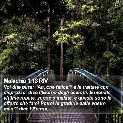 Malachia 1:13 RIV Bible Verse Image