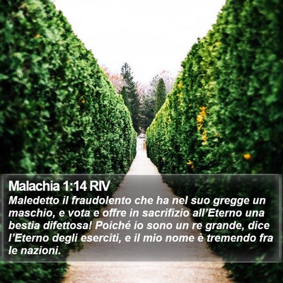 Malachia 1:14 RIV Bible Verse Image