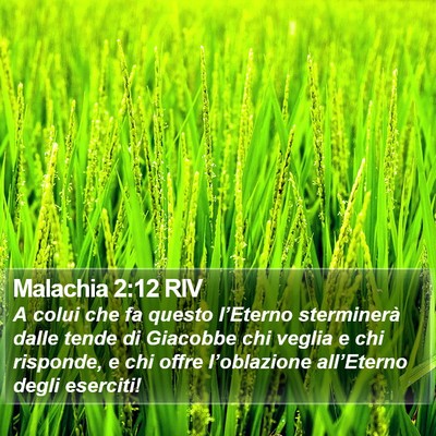 Malachia 2:12 RIV Bible Verse Image