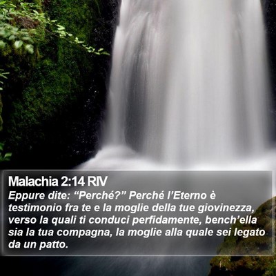 Malachia 2:14 RIV Bible Verse Image