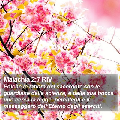 Malachia 2:7 RIV Bible Verse Image