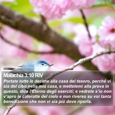 Malachia 3:10 RIV Bible Verse Image