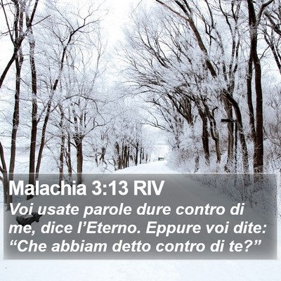 Malachia 3:13 RIV Bible Verse Image