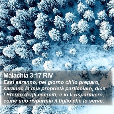 Malachia 3:17 RIV Bible Verse Image