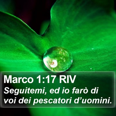 Marco 1:17 RIV Bible Verse Image