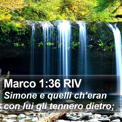 Marco 1:36 RIV Bible Verse Image