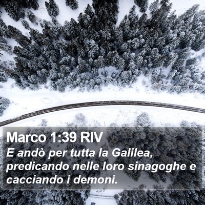 Marco 1:39 RIV Bible Verse Image