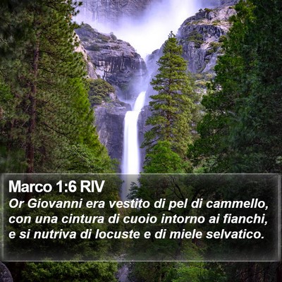 Marco 1:6 RIV Bible Verse Image