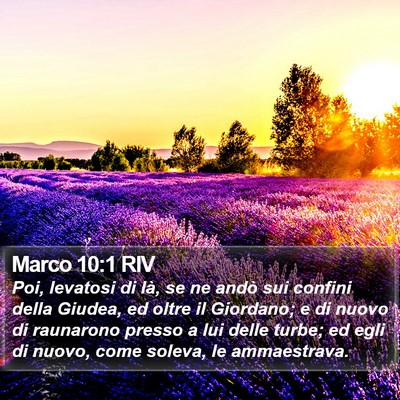 Marco 10:1 RIV Bible Verse Image
