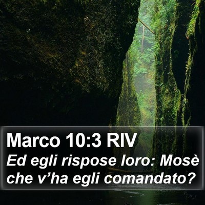 Marco 10:3 RIV Bible Verse Image