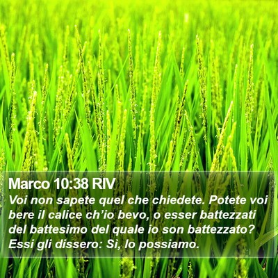 Marco 10:38 RIV Bible Verse Image