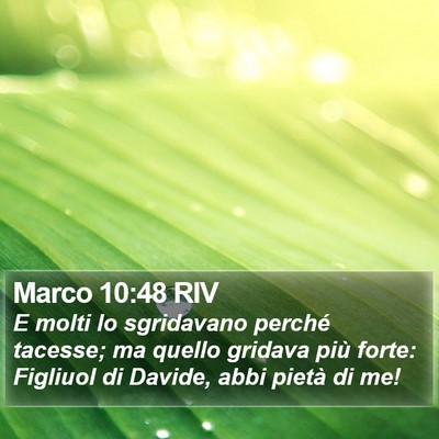 Marco 10:48 RIV Bible Verse Image
