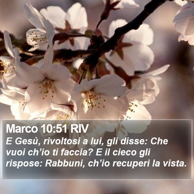 Marco 10:51 RIV Bible Verse Image