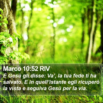Marco 10:52 RIV Bible Verse Image