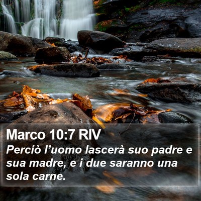 Marco 10:7 RIV Bible Verse Image