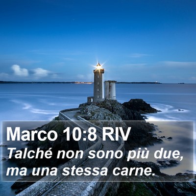 Marco 10:8 RIV Bible Verse Image