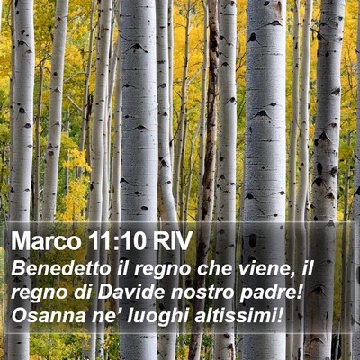 Marco 11:10 RIV Bible Verse Image