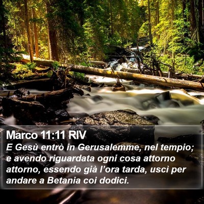 Marco 11:11 RIV Bible Verse Image