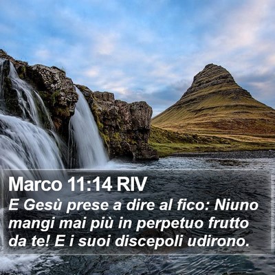 Marco 11:14 RIV Bible Verse Image
