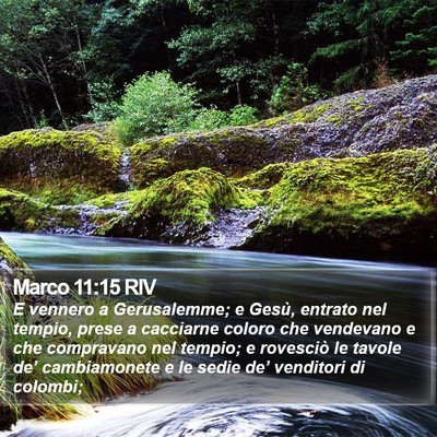 Marco 11:15 RIV Bible Verse Image